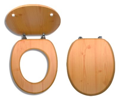 WC/BOROVICE_1